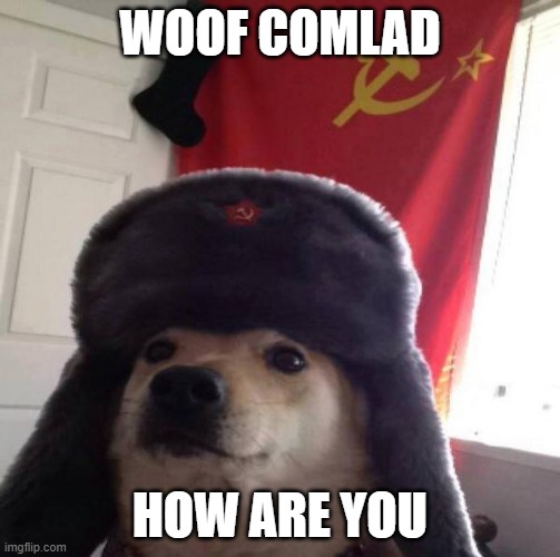Russian Doge |  WOOF COMLAD; HOW ARE YOU | image tagged in russian doge | made w/ Imgflip meme maker