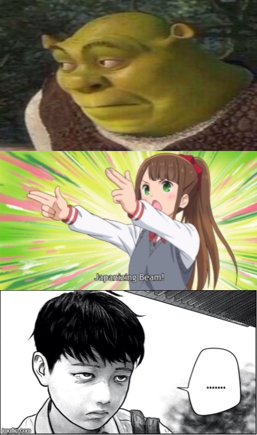 You've seen Shrek and Human Shrek, now I present you Japanese Human Teen Shrek | image tagged in anime japanizing beam,memes,manga,Animemes | made w/ Imgflip meme maker