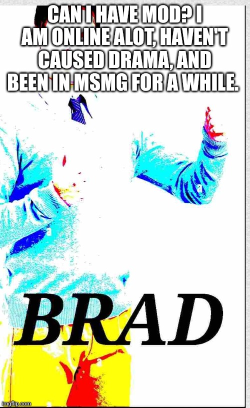 Here ya go | CAN I HAVE MOD? I AM ONLINE ALOT, HAVEN'T CAUSED DRAMA, AND BEEN IN MSMG FOR A WHILE. | image tagged in brad | made w/ Imgflip meme maker