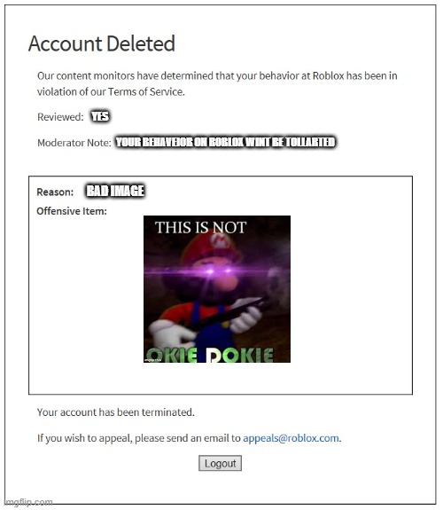 banned from ROBLOX | YES; YOUR BEHAVEIOR ON ROBLOX WINT BE TOLLARTED; BAD IMAGE | image tagged in banned from roblox | made w/ Imgflip meme maker