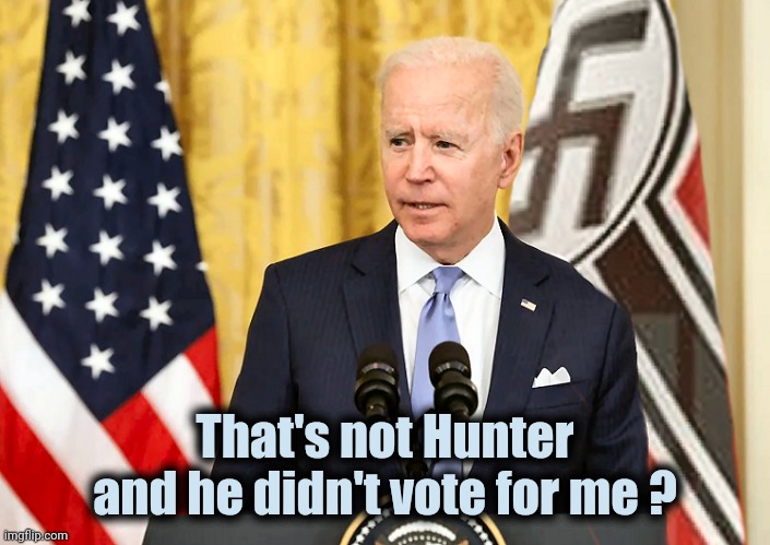 Joe Biden with US and Nazi German Flag | That's not Hunter and he didn't vote for me ? | image tagged in joe biden with us and nazi german flag | made w/ Imgflip meme maker