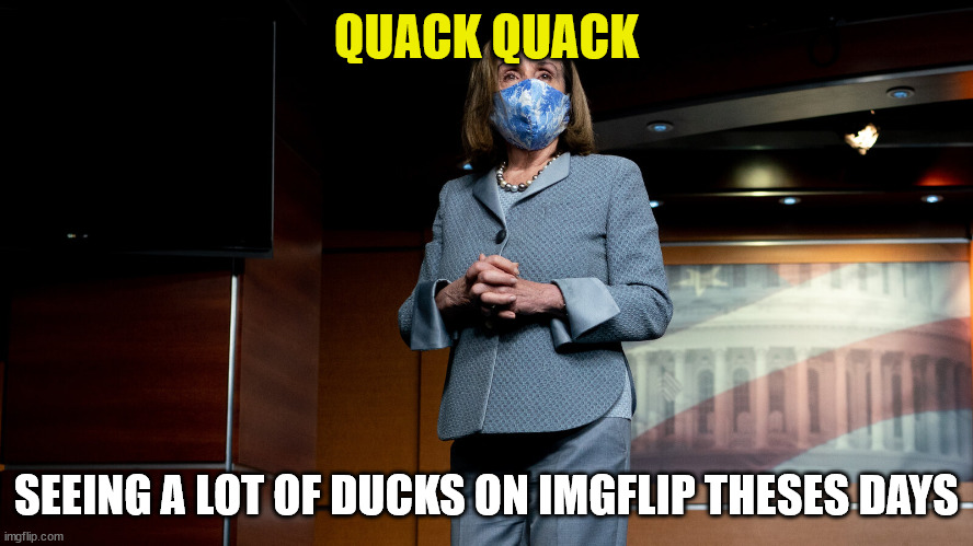QUACK QUACK SEEING A LOT OF DUCKS ON IMGFLIP THESES DAYS | made w/ Imgflip meme maker