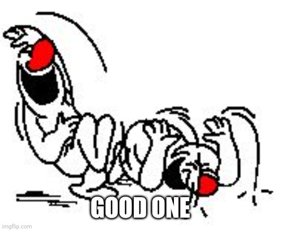 LOL Hysterically | GOOD ONE | image tagged in lol hysterically | made w/ Imgflip meme maker