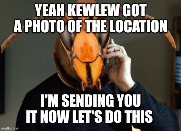 Murder Hornet | YEAH KEWLEW GOT A PHOTO OF THE LOCATION I'M SENDING YOU IT NOW LET'S DO THIS | image tagged in murder hornet | made w/ Imgflip meme maker