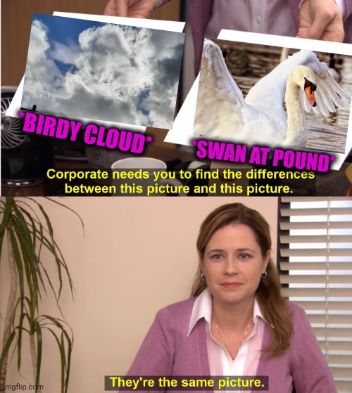 -Pick the beak. | *BIRDY CLOUD*; *SWAN AT POUND* | image tagged in memes,they're the same picture,ron swanson,cloud strife,birds of a feather,totally looks like | made w/ Imgflip meme maker
