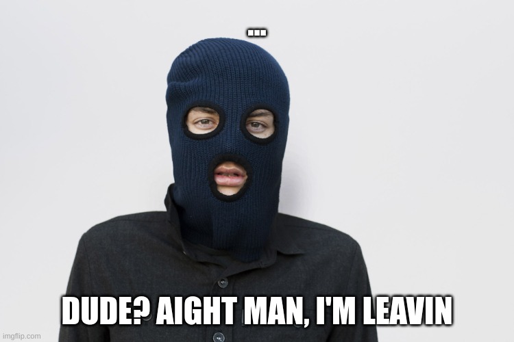 Ski mask robber | ... DUDE? AIGHT MAN, I'M LEAVIN | image tagged in ski mask robber | made w/ Imgflip meme maker