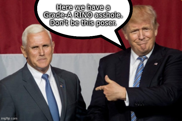 Then there was Pence... | Here we have a Grade-A RINO asshole.
Don't be this poser. | image tagged in memes,polotics | made w/ Imgflip meme maker