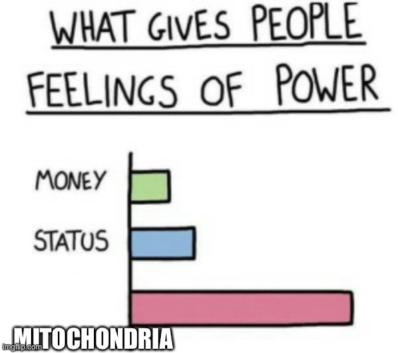 What Gives People Feelings of Power | MITOCHONDRIA | image tagged in what gives people feelings of power | made w/ Imgflip meme maker