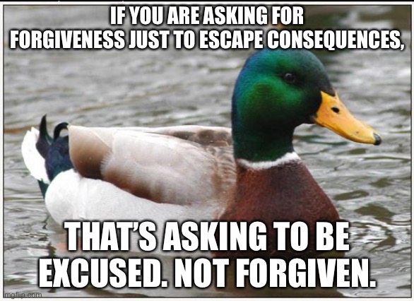 Actual Advice Mallard Meme | IF YOU ARE ASKING FOR FORGIVENESS JUST TO ESCAPE CONSEQUENCES, THAT’S ASKING TO BE EXCUSED. NOT FORGIVEN. | image tagged in memes,actual advice mallard,AdviceAnimals | made w/ Imgflip meme maker