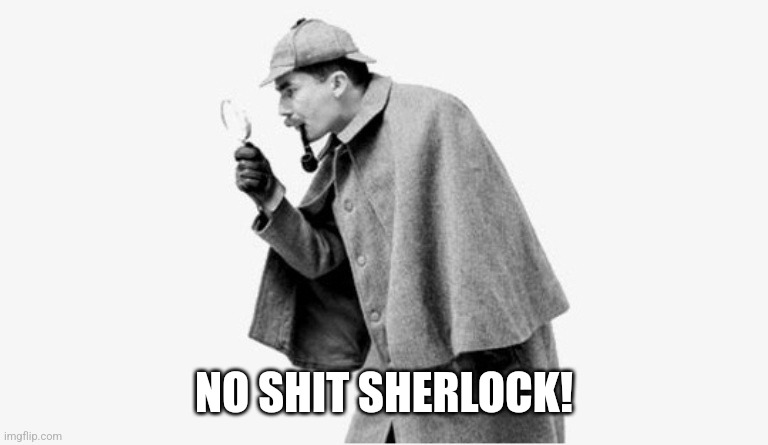 no shit sherlock  | NO SHIT SHERLOCK! | image tagged in no shit sherlock | made w/ Imgflip meme maker