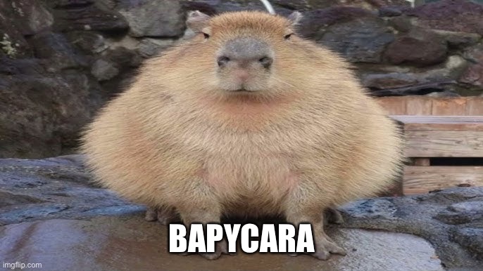 BAPYCARA | made w/ Imgflip meme maker