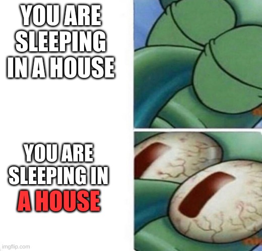 Squidward sleeping |  YOU ARE SLEEPING IN A HOUSE; YOU ARE SLEEPING IN; A HOUSE | image tagged in squidward sleeping,memes | made w/ Imgflip meme maker