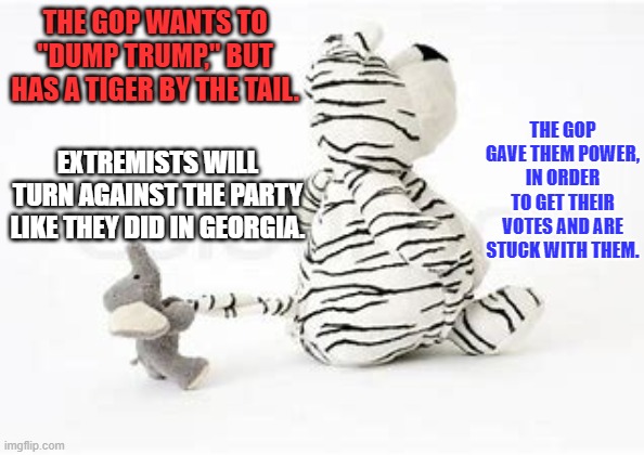 When you get what you wished for, but wish you didn't. | THE GOP WANTS TO "DUMP TRUMP," BUT HAS A TIGER BY THE TAIL. THE GOP GAVE THEM POWER, IN ORDER TO GET THEIR VOTES AND ARE STUCK WITH THEM. EXTREMISTS WILL TURN AGAINST THE PARTY LIKE THEY DID IN GEORGIA. | image tagged in politics | made w/ Imgflip meme maker