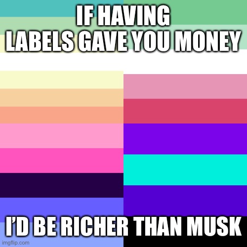 IF HAVING LABELS GAVE YOU MONEY; I’D BE RICHER THAN MUSK | made w/ Imgflip meme maker