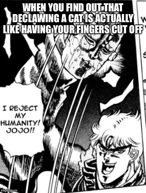 That is just cruel | WHEN YOU FIND OUT THAT DECLAWING A CAT IS ACTUALLY LIKE HAVING YOUR FINGERS CUT OFF | image tagged in i reject my humanity jojo,cats,stop,sad | made w/ Imgflip meme maker