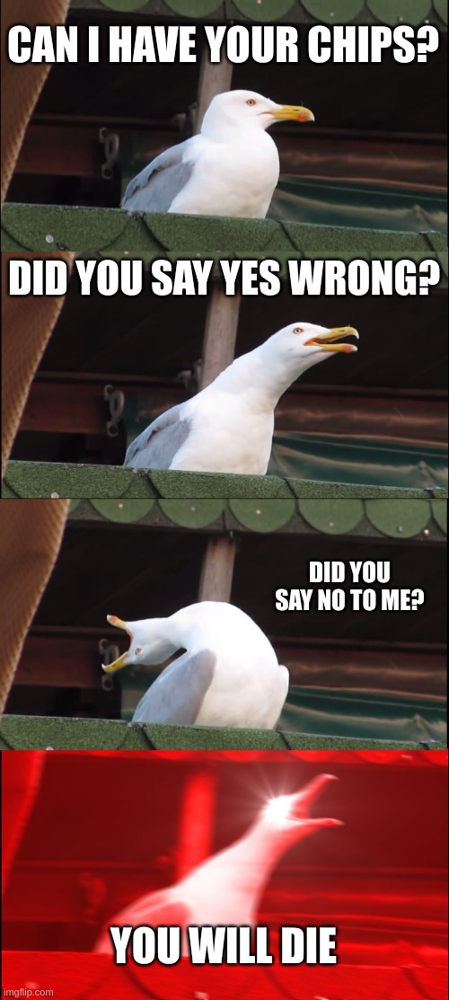 Inhaling Seagull | CAN I HAVE YOUR CHIPS? DID YOU SAY YES WRONG? DID YOU SAY NO TO ME? YOU WILL DIE | image tagged in memes,inhaling seagull | made w/ Imgflip meme maker