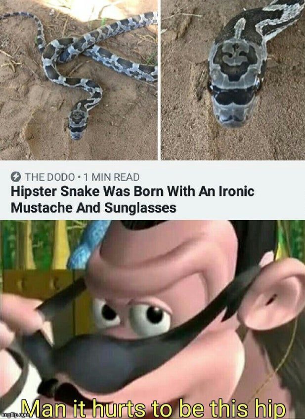 image tagged in memes,funny | made w/ Imgflip meme maker