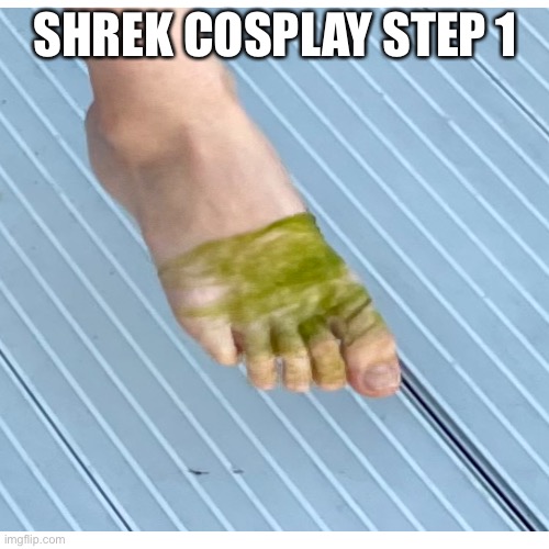 Shrek memes | SHREK COSPLAY STEP 1 | image tagged in shrek | made w/ Imgflip meme maker