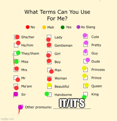 Pronouns Sheet | IT/IT'S | image tagged in pronouns sheet | made w/ Imgflip meme maker