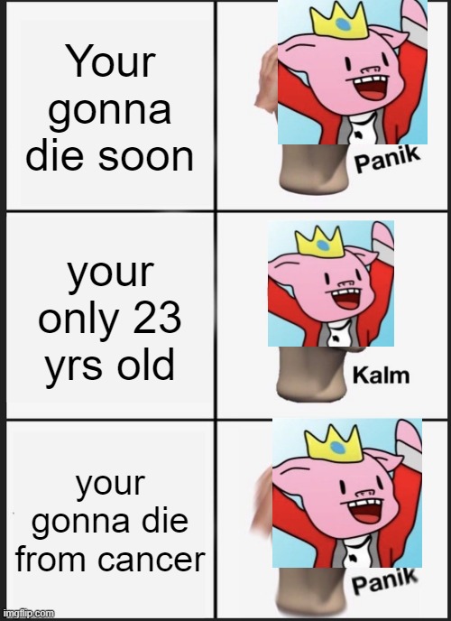R.I.P. Technoblade | Your gonna die soon; your only 23 yrs old; your gonna die from cancer | image tagged in memes,panik kalm panik | made w/ Imgflip meme maker