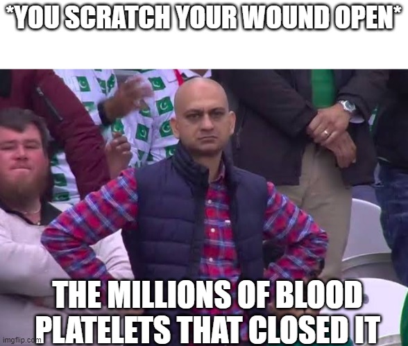 resist the urge people | *YOU SCRATCH YOUR WOUND OPEN*; THE MILLIONS OF BLOOD PLATELETS THAT CLOSED IT | image tagged in disappointed man | made w/ Imgflip meme maker