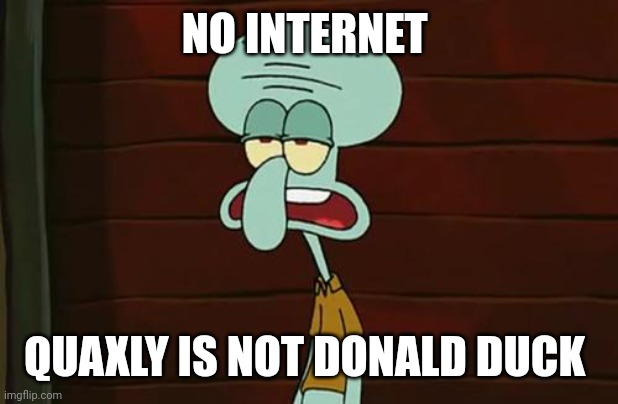 Is Quaxly from Pokemon Donald Duck? | NO INTERNET; QUAXLY IS NOT DONALD DUCK | image tagged in no patrick mayonnaise is not a instrument,pokemon,nintendo,pokemon memes,donald duck | made w/ Imgflip meme maker