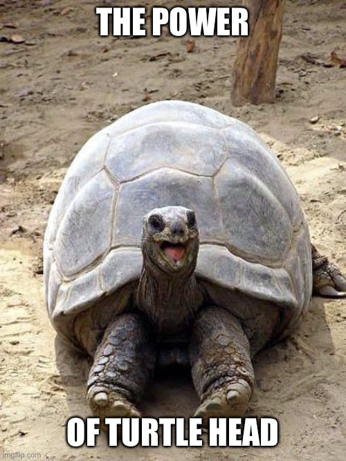 Turtle head | THE POWER; OF TURTLE HEAD | image tagged in smiling happy excited tortoise,flaccid,impotent,turtle | made w/ Imgflip meme maker