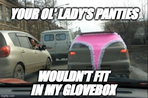 Jurassic Draws | YOUR OL' LADY'S PANTIES; WOULDN'T FIT IN MY GLOVEBOX | image tagged in big girl panties | made w/ Imgflip meme maker