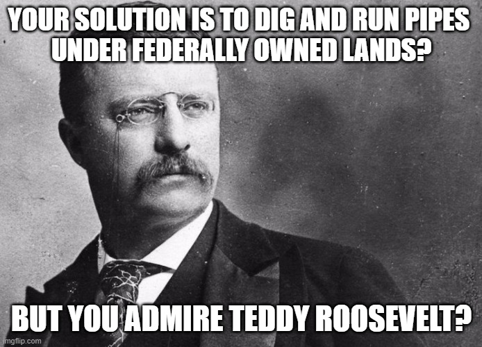 I don't think you want the next President to be like Teddy Roosevelt.  You're thinking of some other person. | YOUR SOLUTION IS TO DIG AND RUN PIPES 
UNDER FEDERALLY OWNED LANDS? BUT YOU ADMIRE TEDDY ROOSEVELT? | image tagged in theodore roosevelt | made w/ Imgflip meme maker