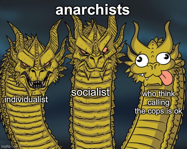 «facepalm» | anarchists; socialist; who think calling the cops is ok; individualist | image tagged in three-headed dragon | made w/ Imgflip meme maker
