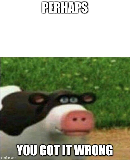 Perhaps cow | PERHAPS YOU GOT IT WRONG | image tagged in perhaps cow | made w/ Imgflip meme maker