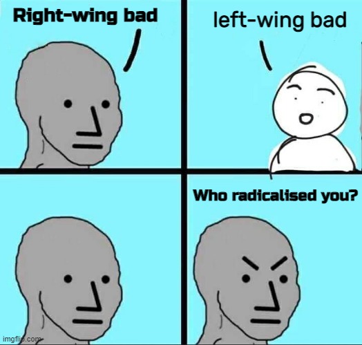 No U | Right-wing bad; left-wing bad; Who radicalised you? | image tagged in npc meme,right wing,left wing | made w/ Imgflip meme maker