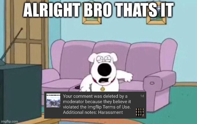 I didn't get a sitewide ban, thankfully. | image tagged in alright bro that's it,memes | made w/ Imgflip meme maker