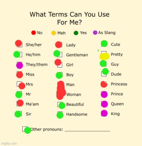 I’m cis, but like this seemed fun to do so Yeah | image tagged in pronouns sheet | made w/ Imgflip meme maker