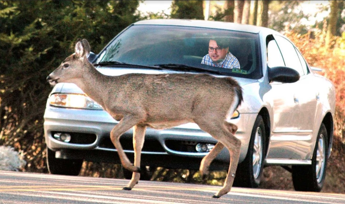 Deer, Car, Hunter Blank Meme Template