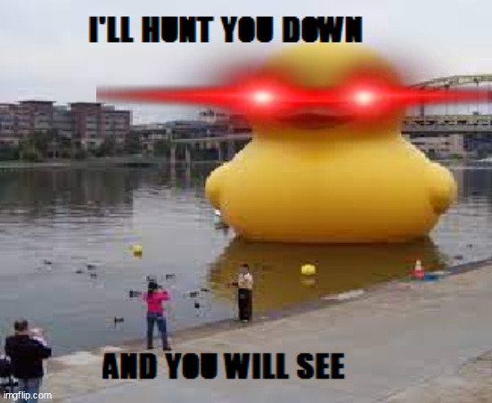 THE DUCK IS HUNTING T̴͙͙́̌H̵̫̐Ę̵̥́ ̴̪̳͝D̵̿͝ͅU̵͈̩͝C̴͚̀Ǩ̷̬ ̶̛͚̄I̸̢̅̕S̶̳͇̅ ̷͉͓̎͊Ḧ̴̨̫́͠Ŭ̶̯̩͛N̴̹͊T̷̗͖̔Į̵̽̔N̴͈̻̊Ǧ̸̱̎  T̵́̽͐͊̈̎̈́͘͘ | image tagged in memes,funny,funny memes,funny meme,lol so funny,lol | made w/ Imgflip meme maker