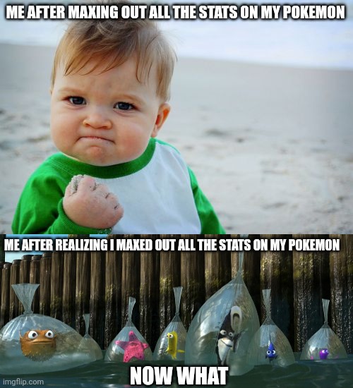 Don't you dare say seek out all pokemon | ME AFTER MAXING OUT ALL THE STATS ON MY POKEMON; ME AFTER REALIZING I MAXED OUT ALL THE STATS ON MY POKEMON; NOW WHAT | image tagged in memes,success kid original,now what - finding nemo | made w/ Imgflip meme maker