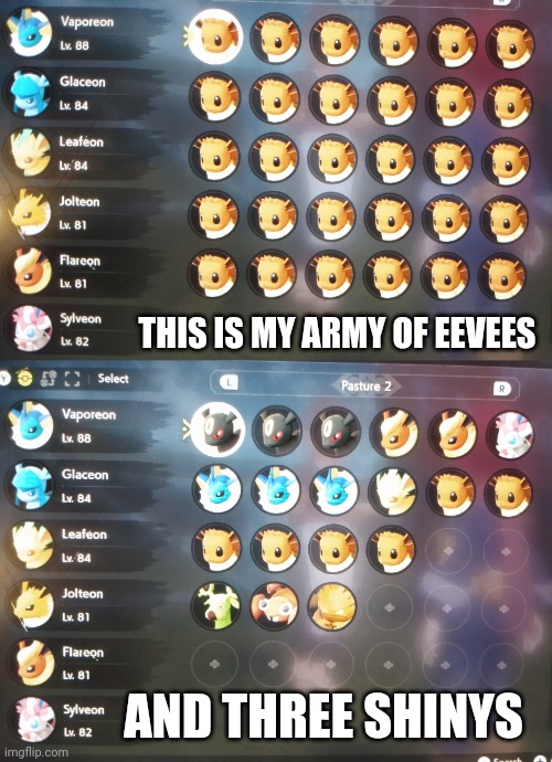 I still can't trade because I don't have online | THIS IS MY ARMY OF EEVEES; AND THREE SHINYS | made w/ Imgflip meme maker
