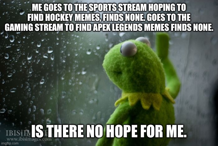 Don’t know which stream this should be in. | ME GOES TO THE SPORTS STREAM HOPING TO FIND HOCKEY MEMES, FINDS NONE. GOES TO THE GAMING STREAM TO FIND APEX LEGENDS MEMES FINDS NONE. IS THERE NO HOPE FOR ME. | image tagged in kermit window,apex legends,ice hockey | made w/ Imgflip meme maker