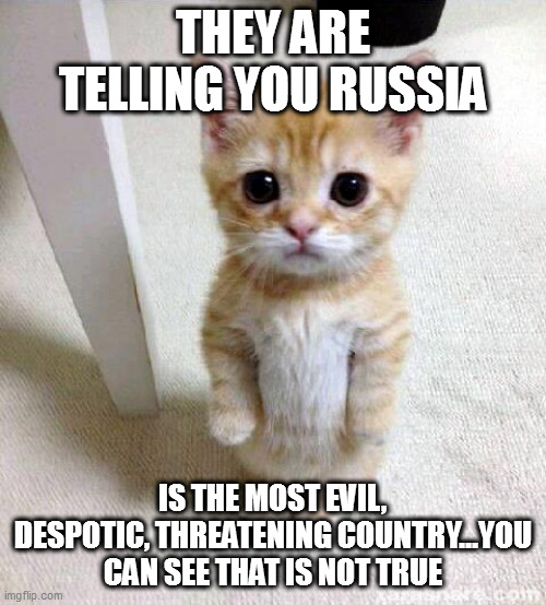 cats | THEY ARE TELLING YOU RUSSIA; IS THE MOST EVIL, DESPOTIC, THREATENING COUNTRY...YOU CAN SEE THAT IS NOT TRUE | image tagged in memes,cute cat | made w/ Imgflip meme maker
