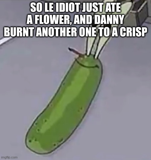 Pickle Krabs | SO LE IDIOT JUST ATE A FLOWER, AND DANNY BURNT ANOTHER ONE TO A CRISP | image tagged in pickle krabs | made w/ Imgflip meme maker