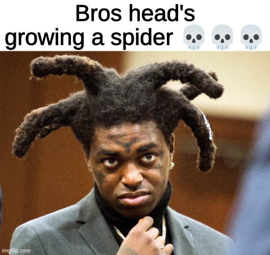Bro scares me |  Bros head's growing a spider 💀💀💀 | image tagged in never,gonna,give,you,up,haha if ur reading this u fell 4 it | made w/ Imgflip meme maker