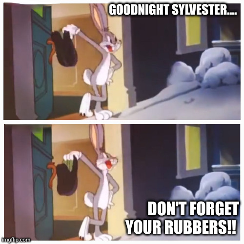 Bugs Bunny |  GOODNIGHT SYLVESTER.... DON'T FORGET YOUR RUBBERS!! | image tagged in bugs bunny,snow,cartoon | made w/ Imgflip meme maker