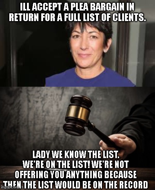 ILL ACCEPT A PLEA BARGAIN IN RETURN FOR A FULL LIST OF CLIENTS. LADY WE KNOW THE LIST. WE'RE ON THE LIST! WE'RE NOT OFFERING YOU ANYTHING BE | image tagged in ghislaine maxwell,court | made w/ Imgflip meme maker