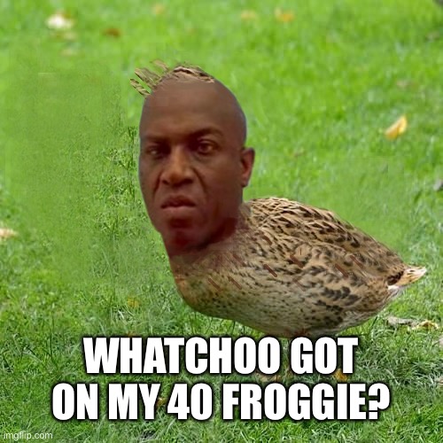 Quit Lying... You Got Something | WHATCHOO GOT ON MY 40 FROGGIE? | image tagged in deebo duck - coolbullshit | made w/ Imgflip meme maker