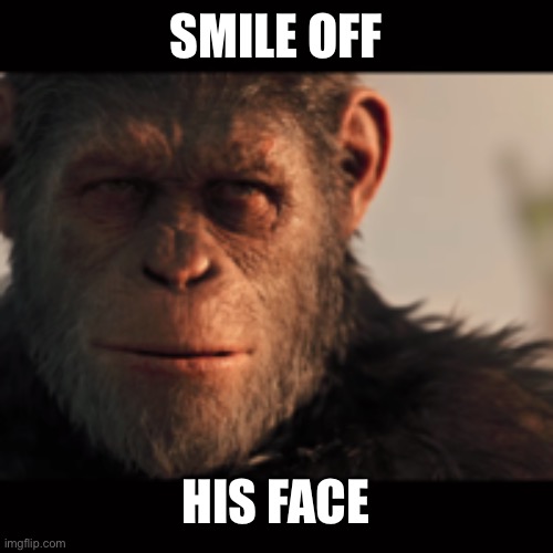 Gorilla Madness | SMILE OFF HIS FACE | image tagged in gorilla madness | made w/ Imgflip meme maker