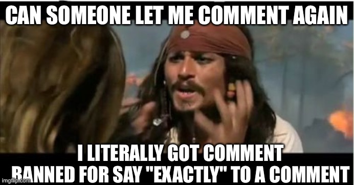 Why Is The Rum Gone Meme | CAN SOMEONE LET ME COMMENT AGAIN; I LITERALLY GOT COMMENT BANNED FOR SAY "EXACTLY" TO A COMMENT | image tagged in memes,why is the rum gone | made w/ Imgflip meme maker