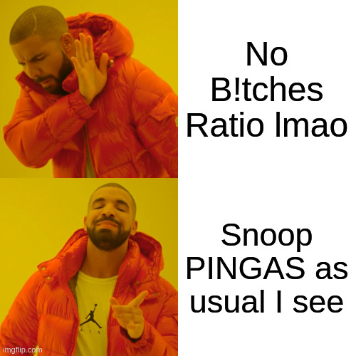 Drake Hotline Bling Meme | No B!tches Ratio lmao Snoop PINGAS as usual I see | image tagged in memes,drake hotline bling | made w/ Imgflip meme maker