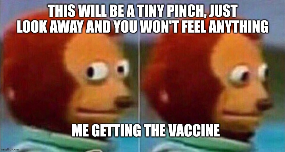 Monkey looking away | THIS WILL BE A TINY PINCH, JUST LOOK AWAY AND YOU WON'T FEEL ANYTHING; ME GETTING THE VACCINE | image tagged in monkey looking away | made w/ Imgflip meme maker
