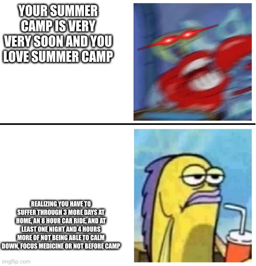 When your camp is very soon | YOUR SUMMER CAMP IS VERY VERY SOON AND YOU LOVE SUMMER CAMP; REALIZING YOU HAVE TO SUFFER THROUGH 3 MORE DAYS AT HOME, AN 8 HOUR CAR RIDE, AND AT LEAST ONE NIGHT AND 4 HOURS MORE OF NOT BEING ABLE TO CALM DOWN, FOCUS MEDICINE OR NOT BEFORE CAMP | image tagged in excited vs bored,relatable | made w/ Imgflip meme maker